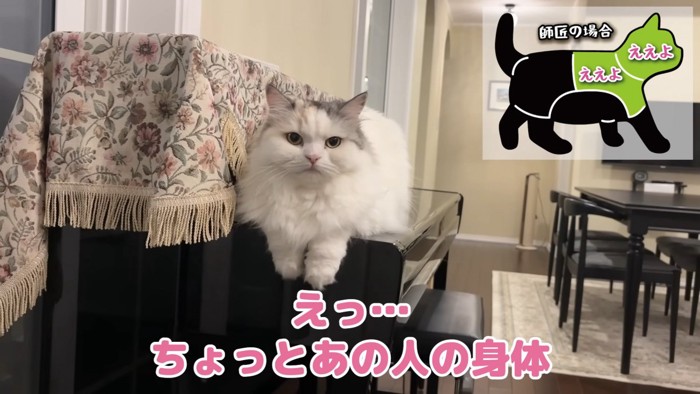 不思議そうなつくしちゃん