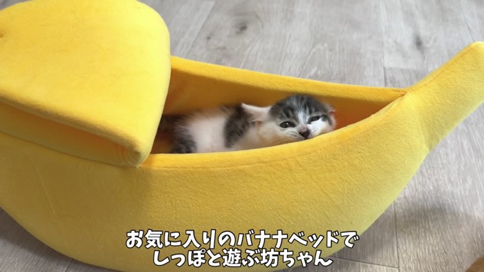 バナナベッドで遊ぶ写真1
