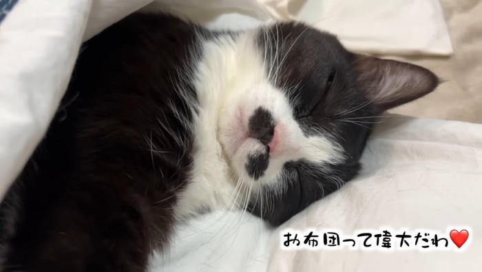 お布団って偉大だわ♡