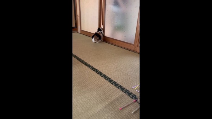 隙間に前足を入れて