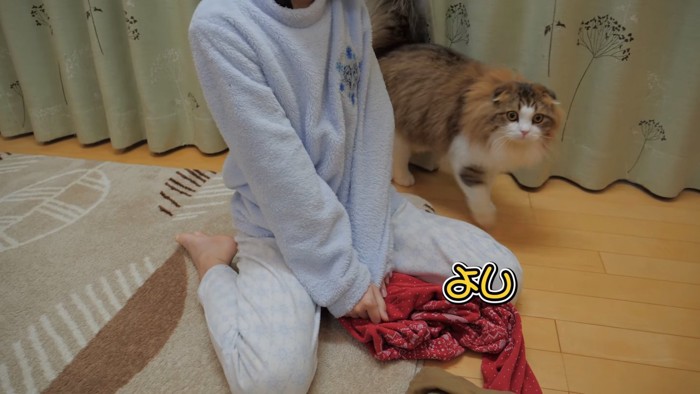 こどもの後ろにいる猫