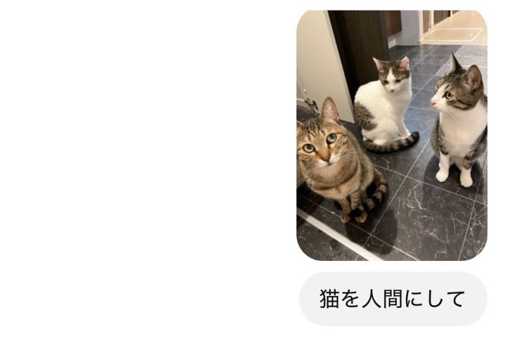 chatGPTの画面