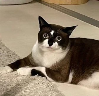 寝そべっているにぼしくん