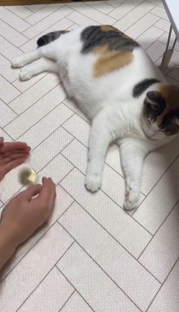 両手で物をシャカシャカ左右に振る