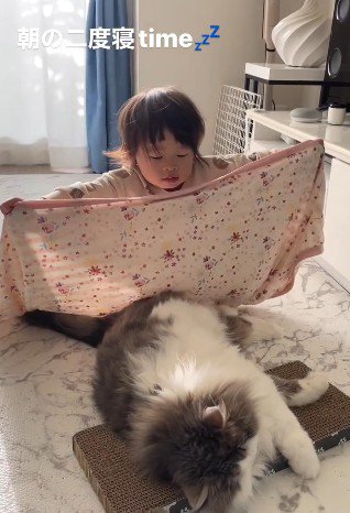 ブランケットを広げる子どもと寝ている猫