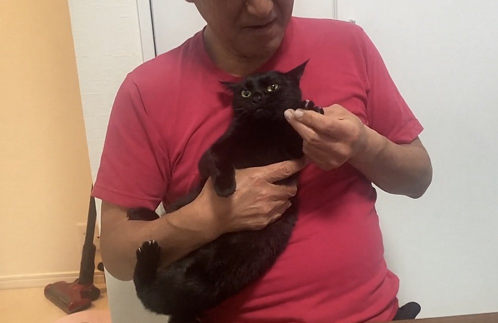 横向きに抱っこされる猫の写真3