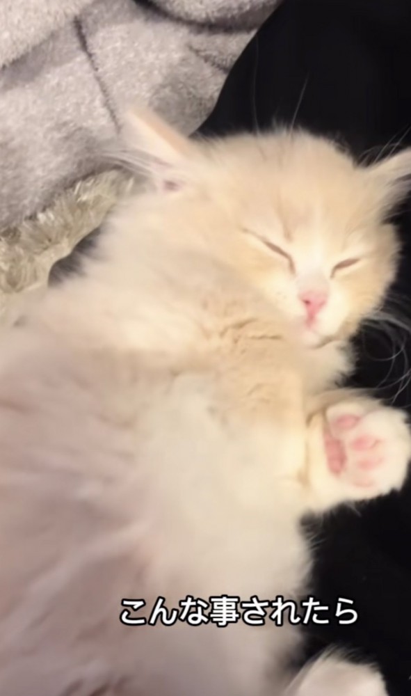 「こんなことされたら」のテロップ写真