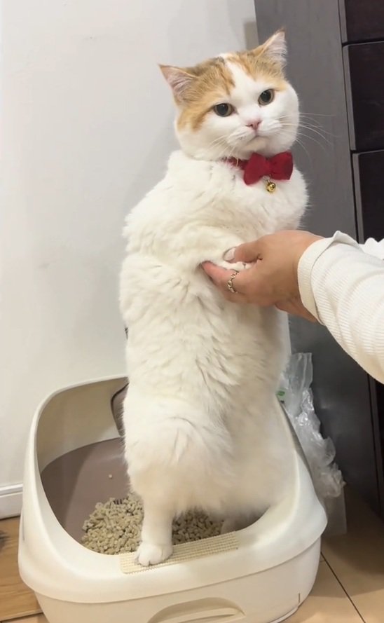 力むリリィちゃん