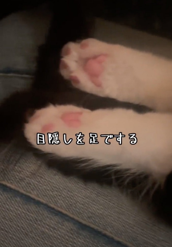 後ろ足で顔を隠す