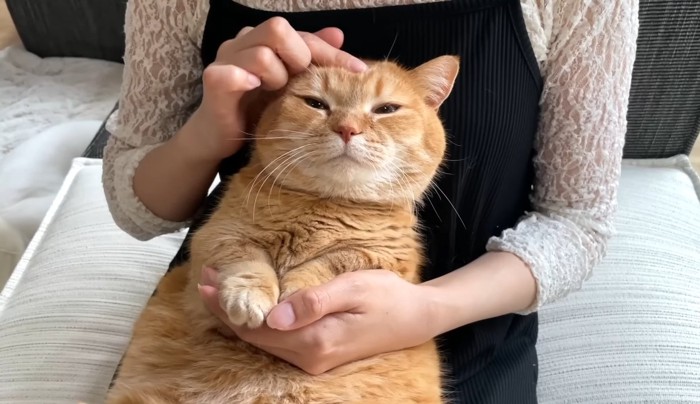 撫でられるプリンくん