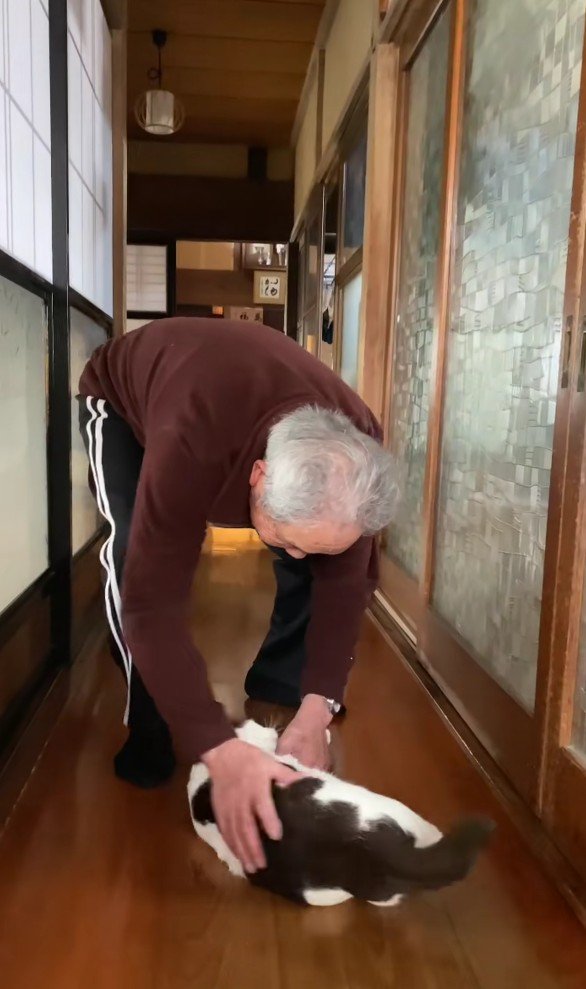 猫をなでるおじいちゃん