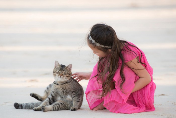 ビーチで猫と遊ぶ女の子