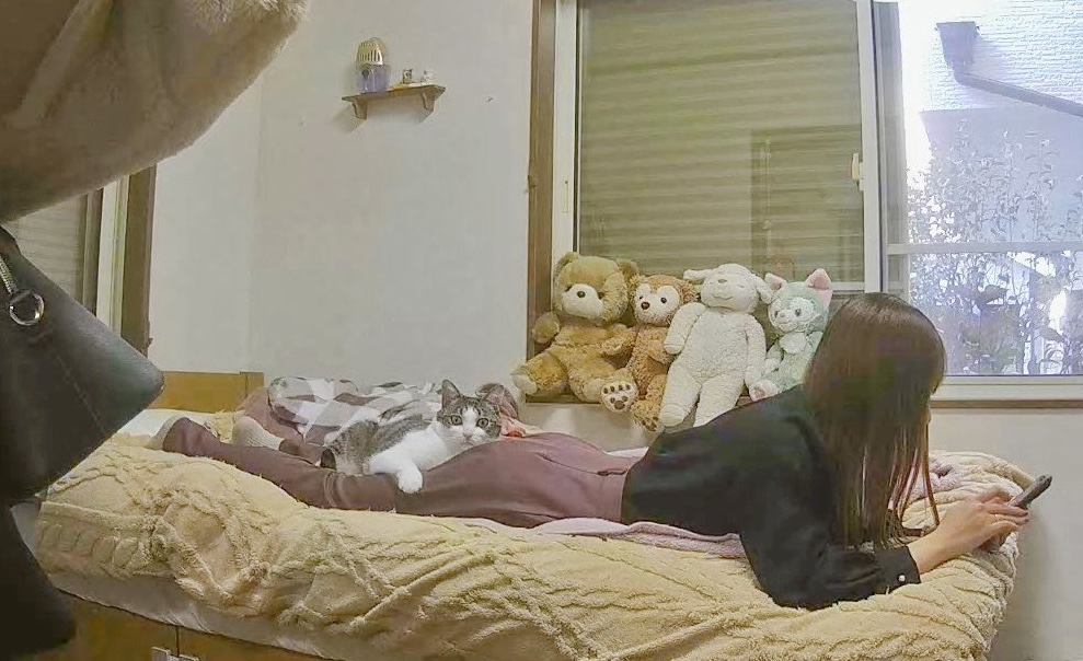 くつろぐキジ白