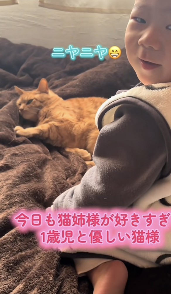 「今日も猫姉様が...」のテロップ写真3