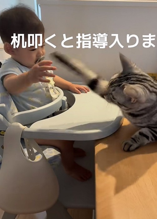 赤ちゃんと猫の写真6