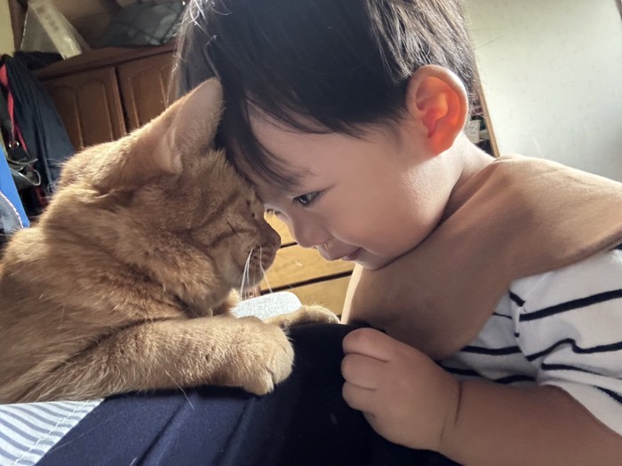 おでこをくっつける猫と赤ちゃん