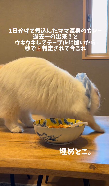 砂をかける仕草をする猫
