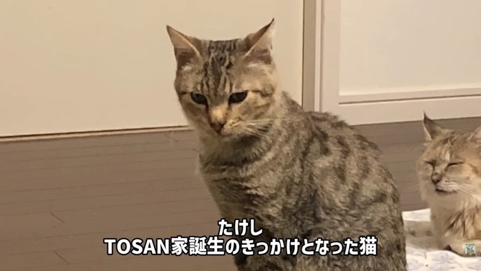 テロップ「たけし~」