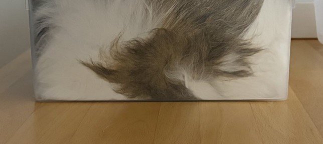 透明のカゴの中に入ったマーブル模様の物体
