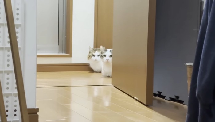 座り込むふたり