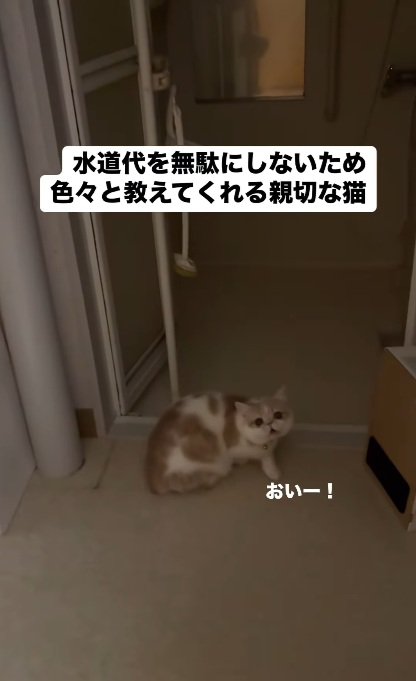 呼びかけ