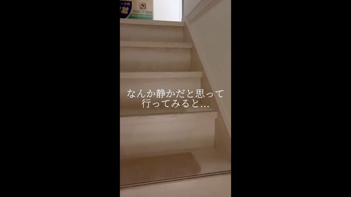 何か静かだと思って