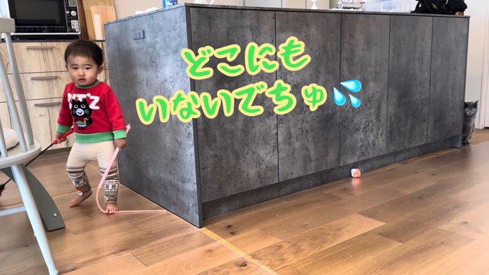 テロップ「どこにも~」