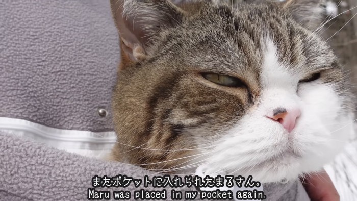 「またポケットに...」のテロップ写真