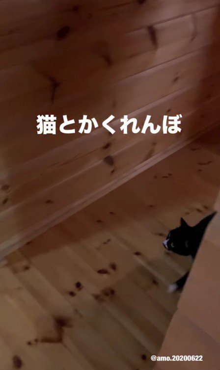 角から現れたあもちゃん