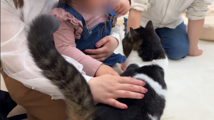 うま次郎くんをなでなで