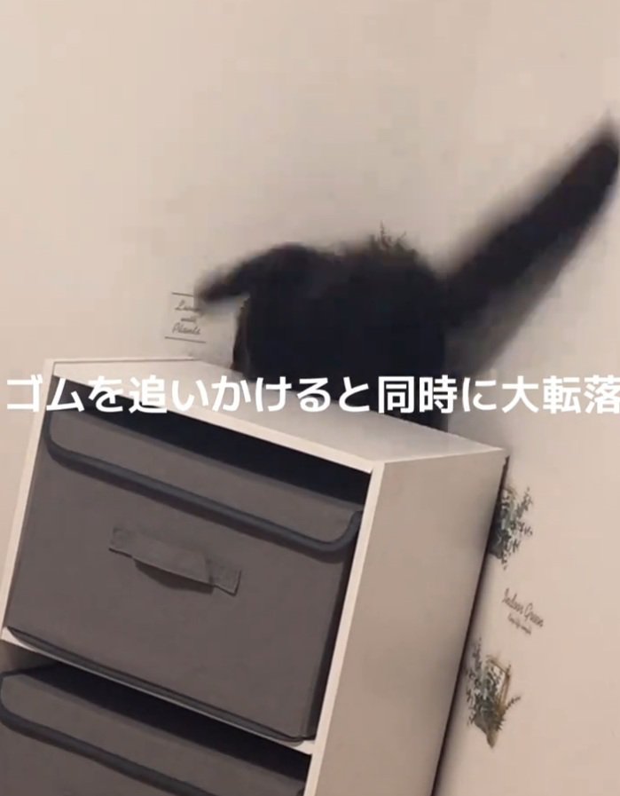 落ちそうになるジジちゃん