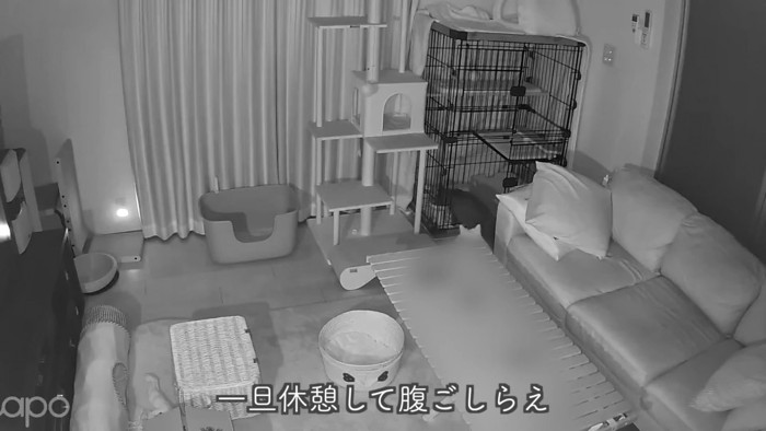 テロップ「一旦休憩して~」