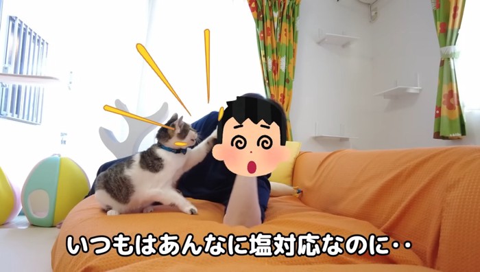 いつもはあんなに