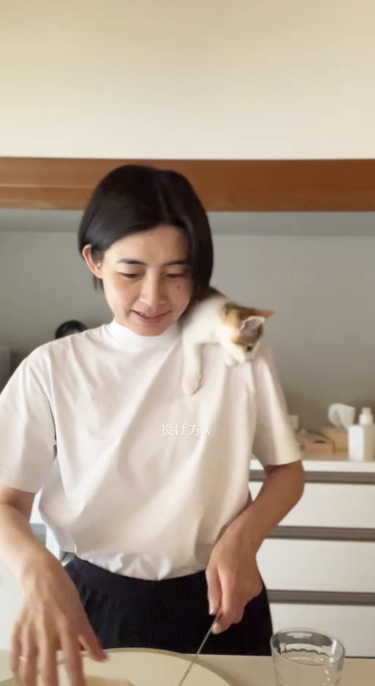 女性が投げたものを目で追う子猫
