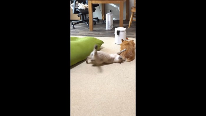 お尻にタッチ