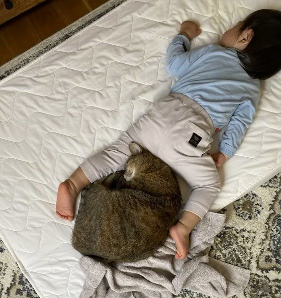 赤ちゃんの足の間で眠る猫