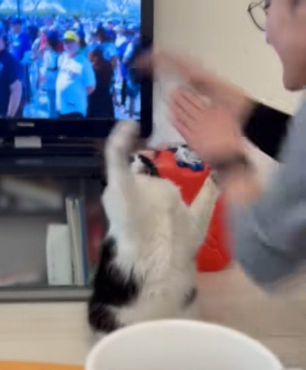 抵抗するオレオくん