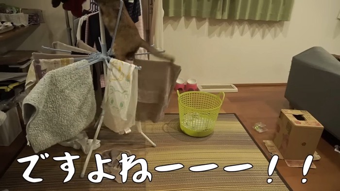 ですよねーーー！！