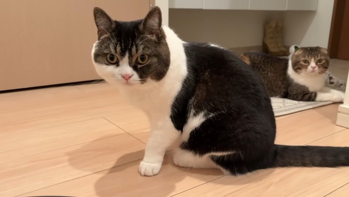 真剣な表情のうま次郎くん