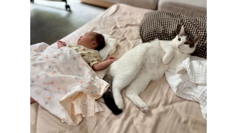 猫と赤ちゃん