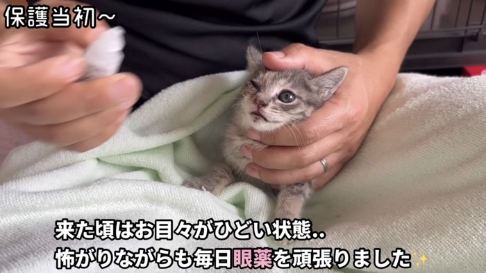 「来た頃は...」のテロップ写真