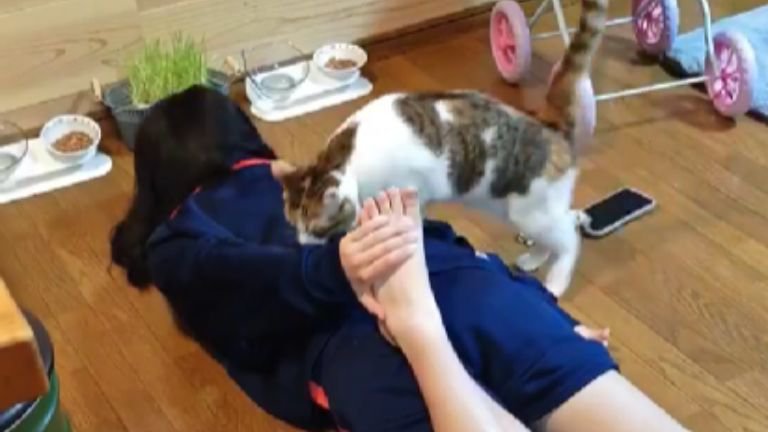 ストレッチ中の女性と猫