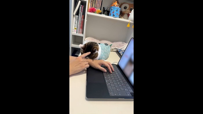 指先で頭にタッチ