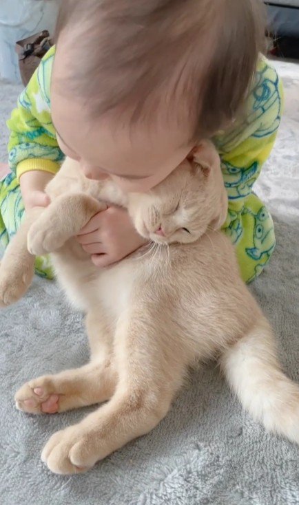 猫を抱きしめる女の子