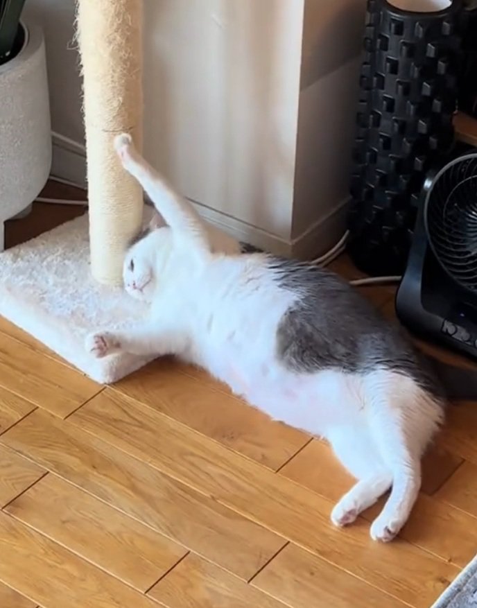 手が外れないおでんちゃん