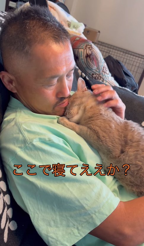 飼い主の上半身の上で伏せをしている猫「ここで寝てええか?」