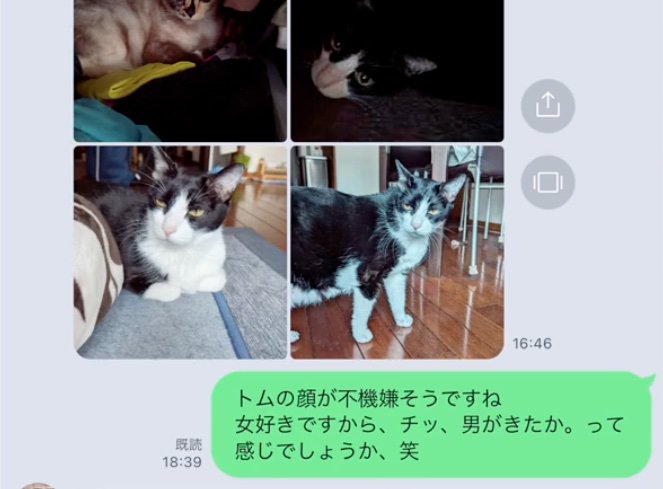 飼い主の返信