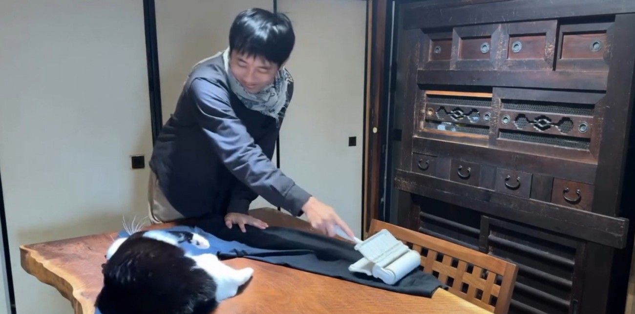服の毛を取る飼い主と猫