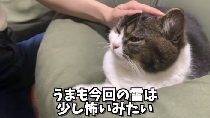 「うまも今回の雷は...」のテロップ写真1