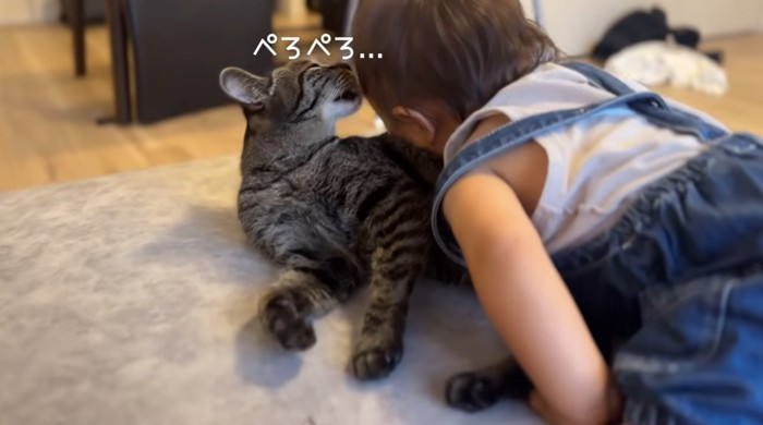 赤ちゃんのことをなめる猫